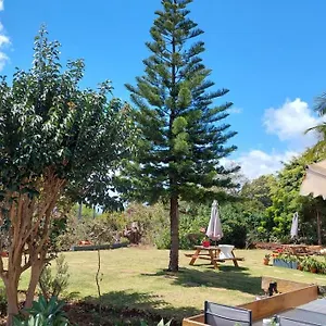 Apartamento Viewpoint Machico - Lovely Nature View, Machico (Madeira)